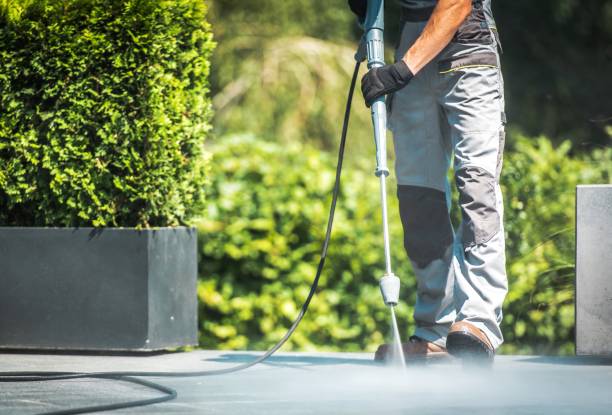Best Roof Cleaning and Mildew Removal in Powell, TN