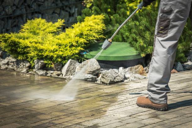 Best Window and Screen Pressure Cleaning in Powell, TN