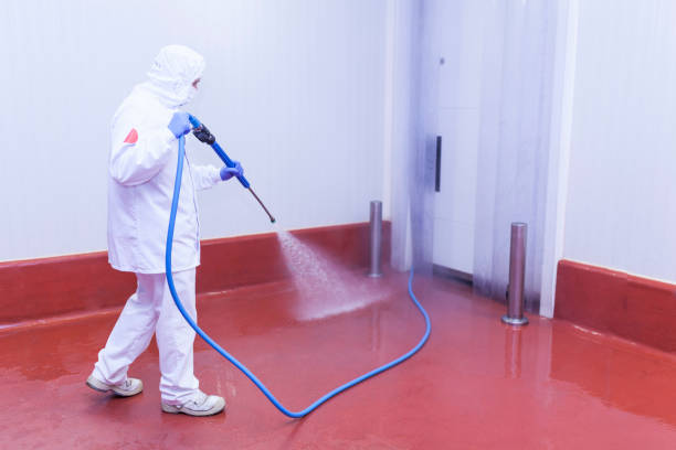 Best Residential Pressure Washing in Powell, TN