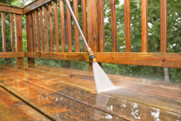 Best Vinyl Siding Pressure Washing in Powell, TN